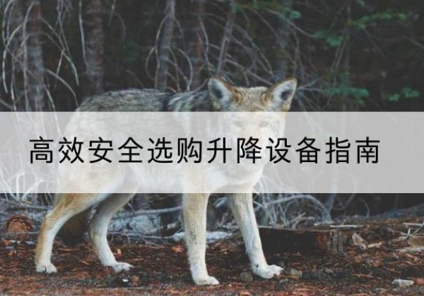 凉城升降货梯厂家推荐-*安全选购升降设备指南