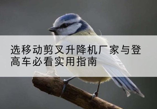 凉城电动升降机厂家-选移动剪叉升降机厂家与登高车必看实用指南