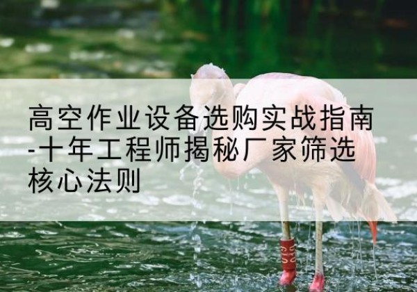 凉城剪叉式升降机厂家-高空作业设备选购实战指南-十年工程师揭秘厂家筛选核心法则